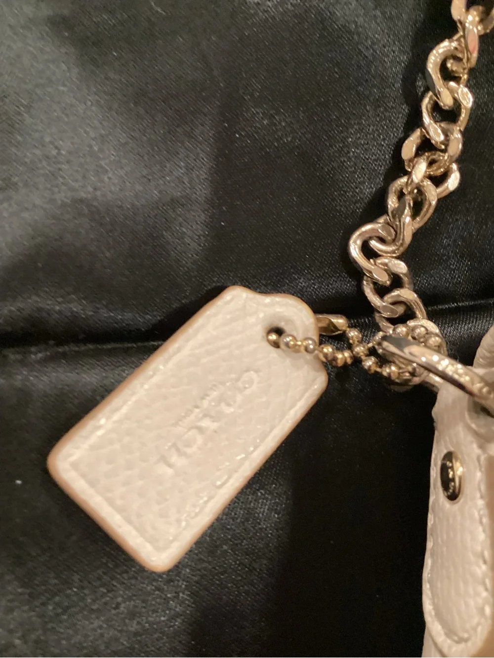 Coach Mini Ruby Crossbody in Ecru Leather🏝️🏝️ #F34604 🏝️🏝️ - Picture 3 of 13